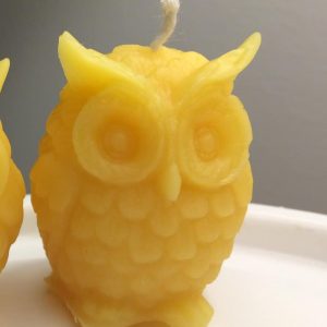 Little Owl Beeswax Candle